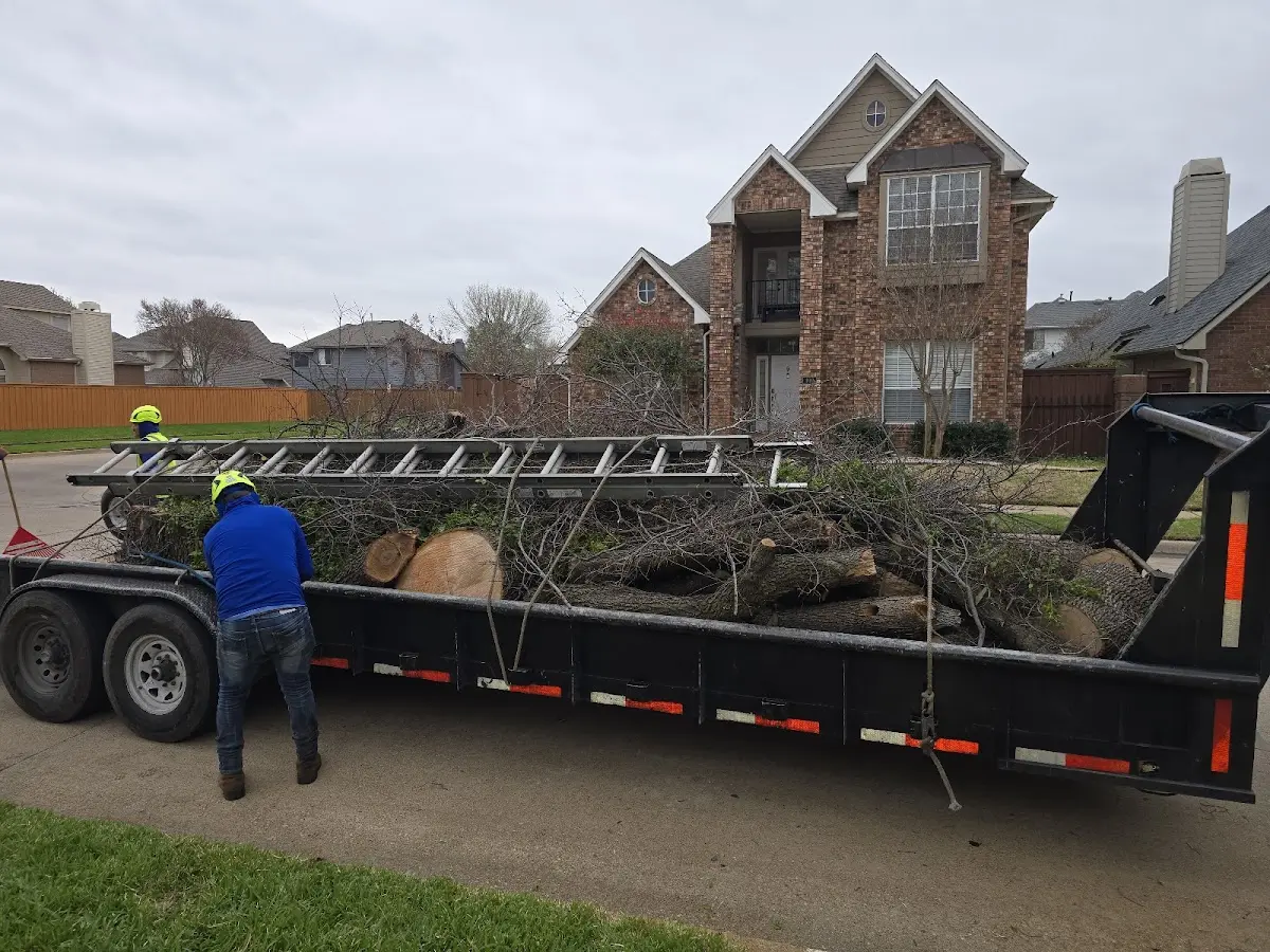 Expert Tree Fertilization with proper safety equipment in Pendroy